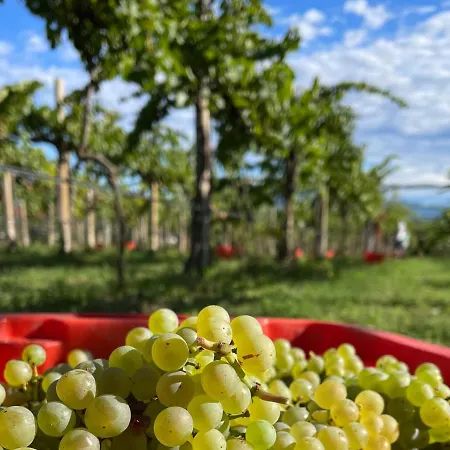 Weingut La Bagatta Διαμέρισμα